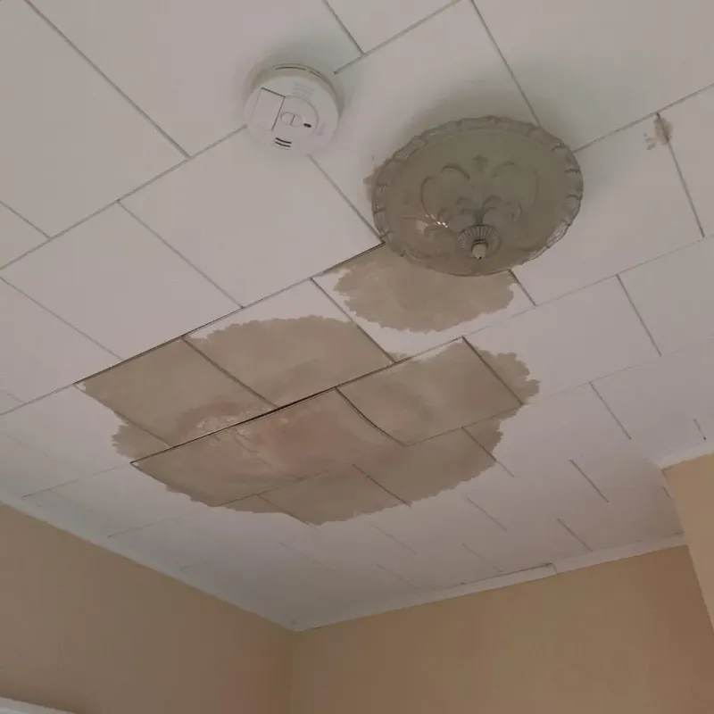 Ceiling Water Damage Repair in Lucas County, OH
