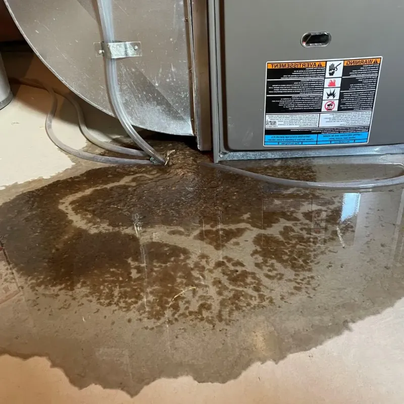 Pipe Burst and Leak Restoration in Lucas County, OH
