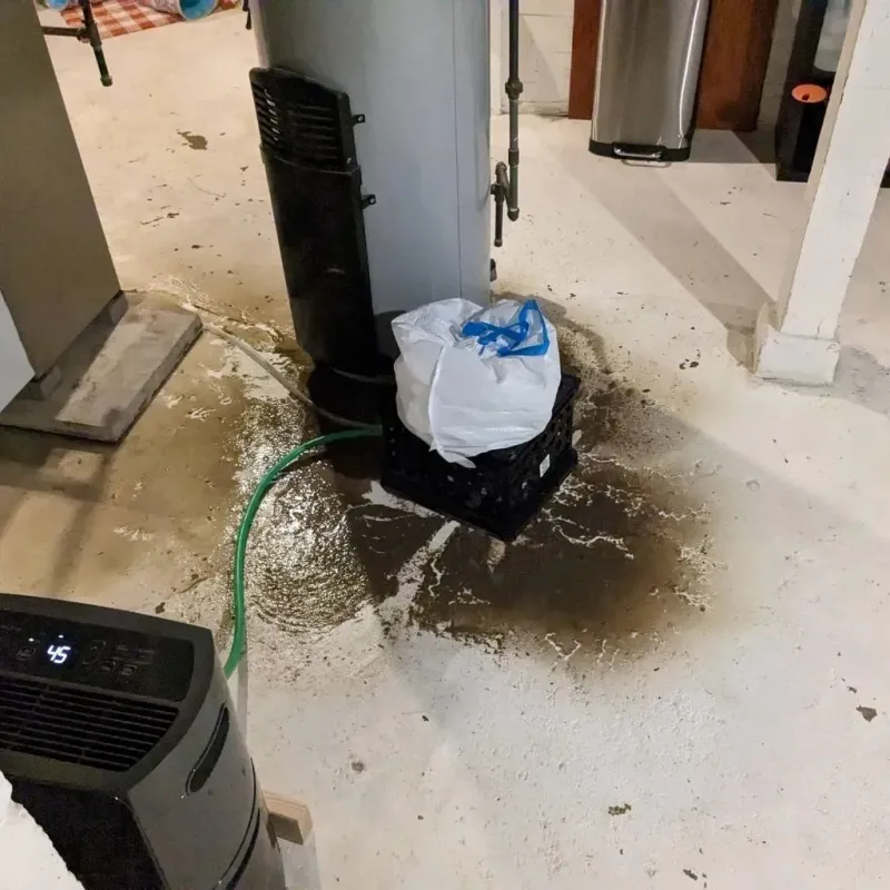 Sewage Backup Cleanup Service in Lucas County, OH